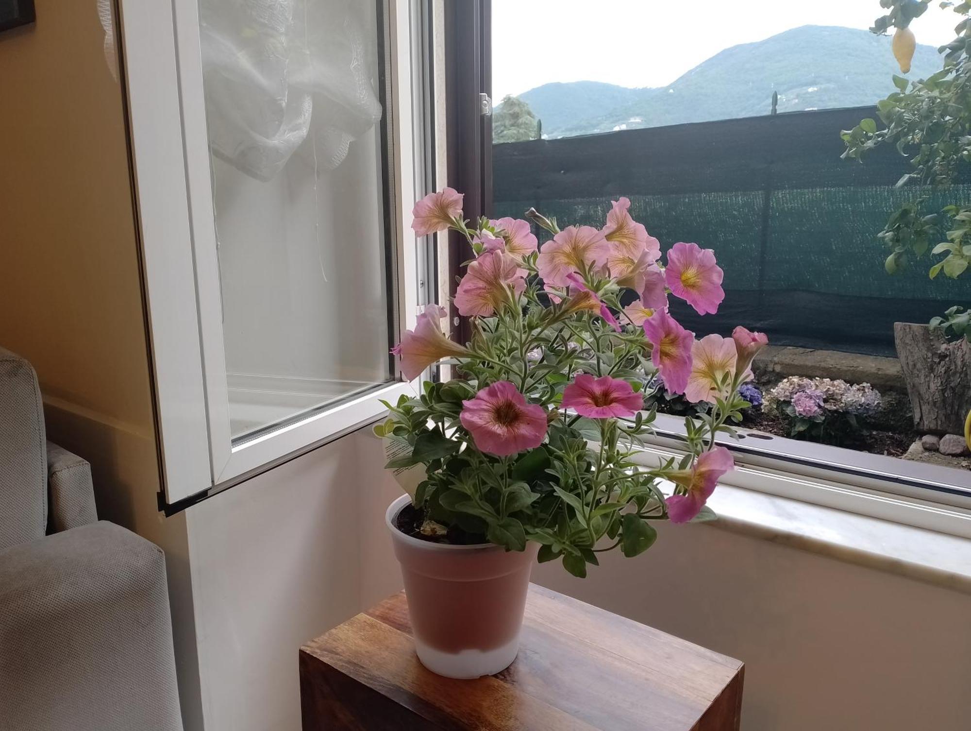 Apartmán Casa Veve' La Spezia Exteriér fotografie